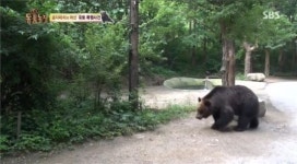 동물농장 김상중, 내레이션 깜짝 등장…그런데 말입니다