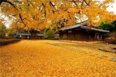 일본 여성이 꼽은 국내 여행지, 650년 전통 깃든 전주 향교