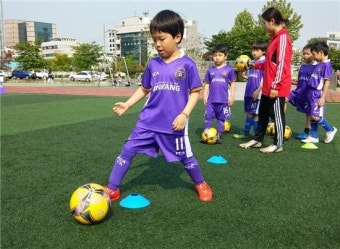 FC안양, 유소년 팀장 공개 모집…9월 16일까지 접수