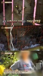 동물농장 고양이 공장, 강아지 이어 충격적 실태..주인 뻔뻔한 태도