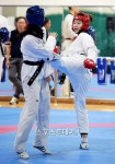 金 도전 오혜리, 태권도 여자 67kg급 결승 진출