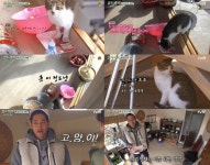 삼시세끼 에릭, 소고기 테러묘 도도에 우리 먹을만큼 남겼네