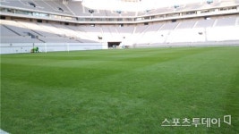 신태용 잔디 상태 나쁘지 않다…안착 정도가 관건
