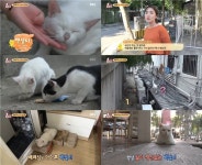 TV동물농장, 고양이계의 마더 테레사…나눔의 아이콘 백설이