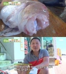 생방송 투데이 곰치국, 동해 오면 꼭 먹고 갈 것 [TV캡처]