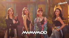 마마무, 셀럽티비 뜬다…곱창→김부각→박대 띄운 화사에게 '먹방'이란