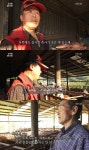인간극장 박재관, 축사 일까지 돕는 시골 목사 이런 분 꼭 필요해 [TV캡처]