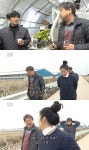 인간극장 부여 꽃농장 메리골드 계정은 결혼 대신 꽃농사 [TV캡처]
