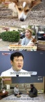 동물농장 돌 먹는 강아지, 물고 뜯는 그 이상의 놀이 원해 [TV캡처]