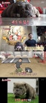운동으로 우울증 극복…동물농장 공놀이 없이 못 사는 카샤 