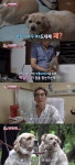 사랑했다…동물농장 아롱·아순의 뭉클한 이별 [TV캡처]
