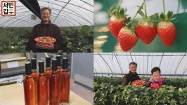 서민갑부 귀농 후 10년 만에 딸기 농장으로 10억원 연매출