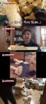 동물농장 레트리버 7남매, 우당탕탕 정신 사나운 일상 [TV캡처]