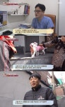 동물농장 수유동 강아지 연쇄 유기 사건의 진실 충격 [TV캡처]