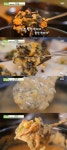 정선 곤드레 자족 식당, 곤드레밥부터 곤드레 들깨탕까지(생방송투데이) [TV캡처]