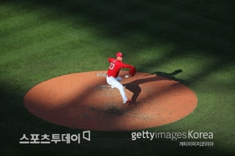 STL 실트 감독 