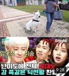 놀토→동물농장 유튜브 채널, 자극 쫓는 편집에 논란 가중 [ST이슈]