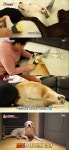 동물농장 군기반장 할머니의 사고뭉치 4마리 犬…밀가루 파티는 기본 [TV캡처]