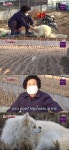 동물농장 아롱이, 개장수로부터 탈출한 강아지…트라우마에 손길 거부 [TV캡처]