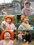 슈퍼맨이 돌아왔다 도경완 연우 하영, 도플갱어 가족 제주도행, 귤 따기 체험 즐긴다