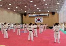 국기원, 2021 주한 외국인 태권도 보급 사업 사범단 추가 모집