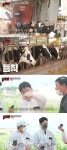 맛남의 광장 곽동연, 국내산 육우 소고기 설명에 한우가 국내 소 통칭하는 줄 [TV캡처]