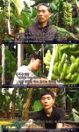 김영걸 바나나 농사 위해 귀농한 두 아들, 큰 도움(인간극장) [TV캡처]