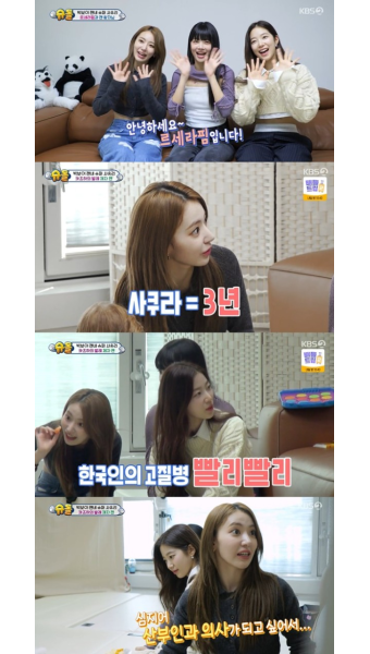 아는 외고 르세라핌 사쿠라, 산부인과 의사 꿈 고백...눈길 이어져