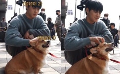 더 글로리 이도현, 송혜교 반려견에 뽀뽀…힐링되는 촬영현장