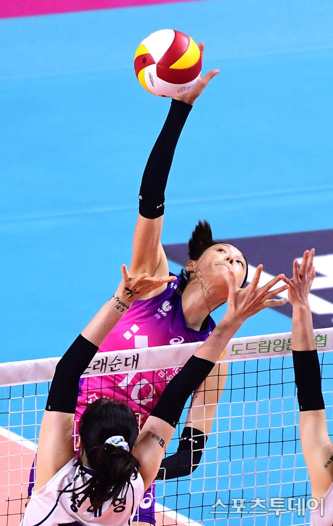 흥국생명 김연경, 한국도로공사 상대로 19득점 활약! 흥국생명, 정규시즌 홈 최종전 승리로 장식