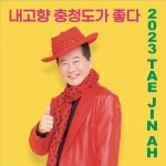 내고향 충청도가 좋다 태진아, 본격 방송활동 시작