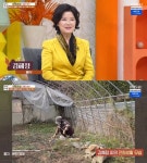 아침마당 김혜정 1000여평 전원 공간 직접 돌봐, 장작도 직접 팬다 [TV캡처]