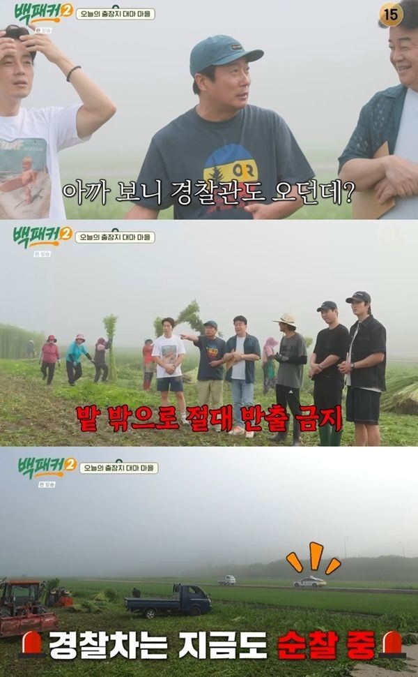 백패커2, 대마 특구에서 발견된 대마에 충격…백종원의 놀라운 반응