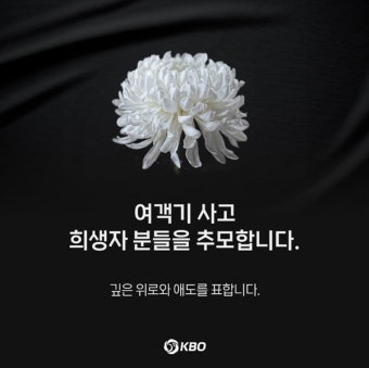 KBO·KFA 등 프로 스포츠 단체, 제주항공 참사 희생자 추모