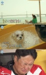 구성환, 꽃분이와 추억 회상하며 눈물 