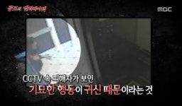 ‘서프라이즈’ 공포의 엘리베이터, 엘리사 람 죽음 원인은?
