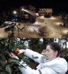 효리네 민박2 윤아, 제주 귤 농장에서 빛나는 미모…눈 덮인 이효리-이상순 부부 집 포착