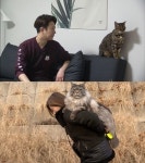 “도도한 고양이? 이제는 ‘개냥이’” ‘하하랜드2’, 매력만점 고양이의 시대 