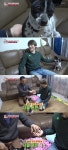 ‘동물농장’ 몸 만지면 무는 곤이, 주인 “미용 맡기고 난 후부터…”