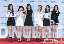 [시크포토]샤샤 