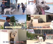 동물농장 아이리시울프하운드 칸 등장에 동네 주민 혼비백산 개같지 않다