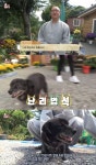 ‘동물농장’ 스님을 번뇌에 빠지게 한 역마살 개 ‘초심이’ 무슨 일?  