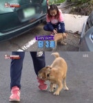 동물농장 낑꽁이, 여학생 뒤만 졸졸 스토킹 당황