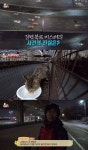 ‘동물농장’ 강변북로 미스테리, 교각 틈새 살고 있는 고양이 
