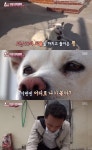 ‘동물농장’ 대형견 뿅이, 밤마다 탈출 사냥·영역확대 욕구 강해…해결 방안은?