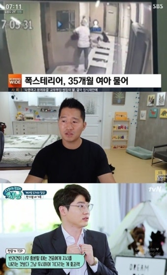 ‘폭스테리어 사고’ 강형욱·설채현, 주인 잘못 지적…안락사 결정에 대립