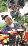 ‘인간극장’ 차금옥, 다친 고라니 새끼 보며 “멧돼지 치료하는 약으로 치료해야 해”