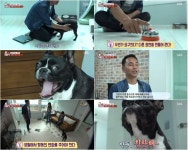 ‘TV 동물농장’ 통곡 ‘만두’의 버릇 고치기 2단계, 행동 변화→다른 표현  