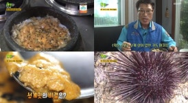 [방송 SCENE] 전복회→옥돔구이 모두 맛볼 수 있는 제주 전복성게돌솥밥 위치는?(2TV 생생정보)