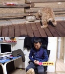 ‘동물농장‘ 쫑이, 돌 집착하게 된 계기는? “견주에게 뺏긴 마음 들어”